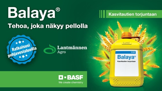 Balaya